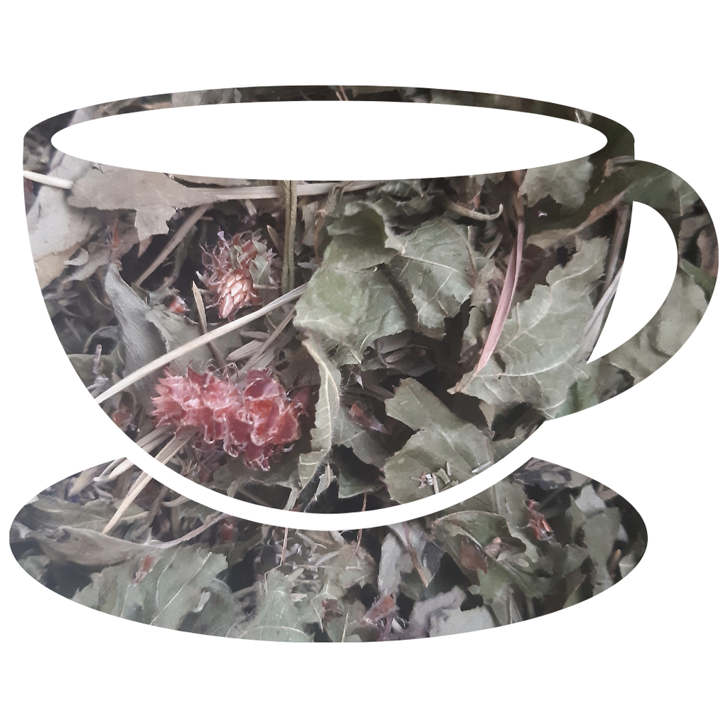 le murmure de la forêt.png