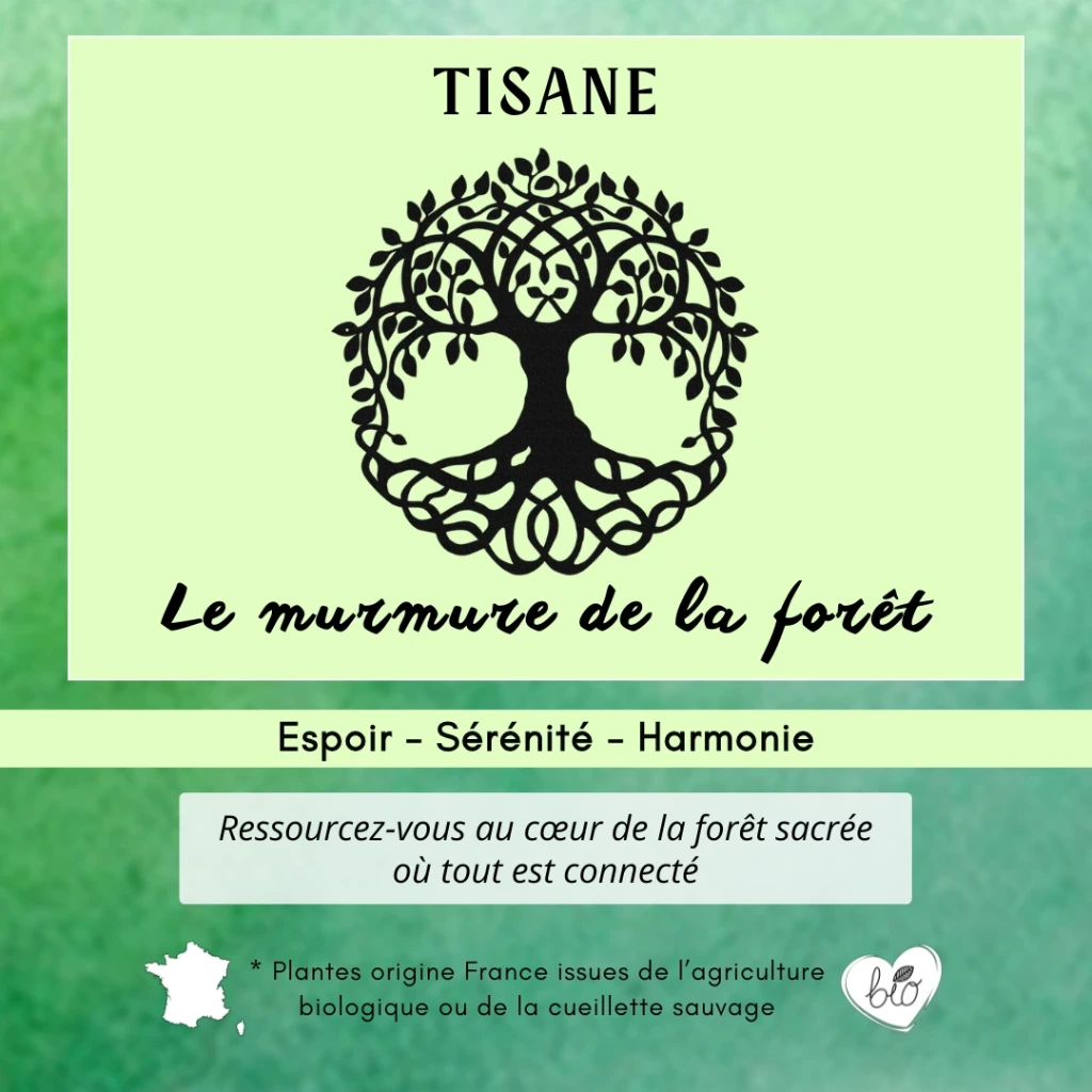 Tisane - Le murmure de la forêt