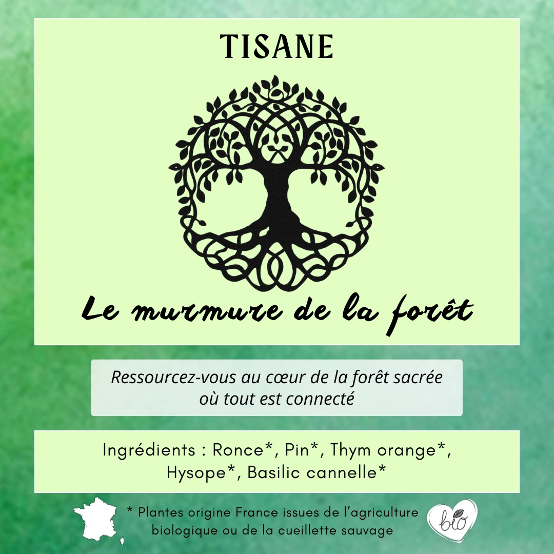 Tisane - Le murmure de la forêt