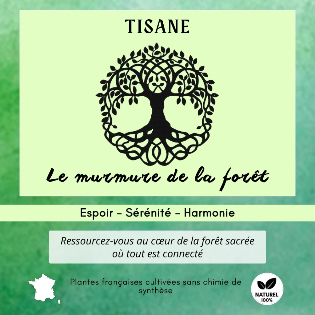 Tisane - Le murmure de la forêt