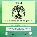 Tisane - Le murmure de la forêt