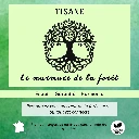 Tisane - Le murmure de la forêt